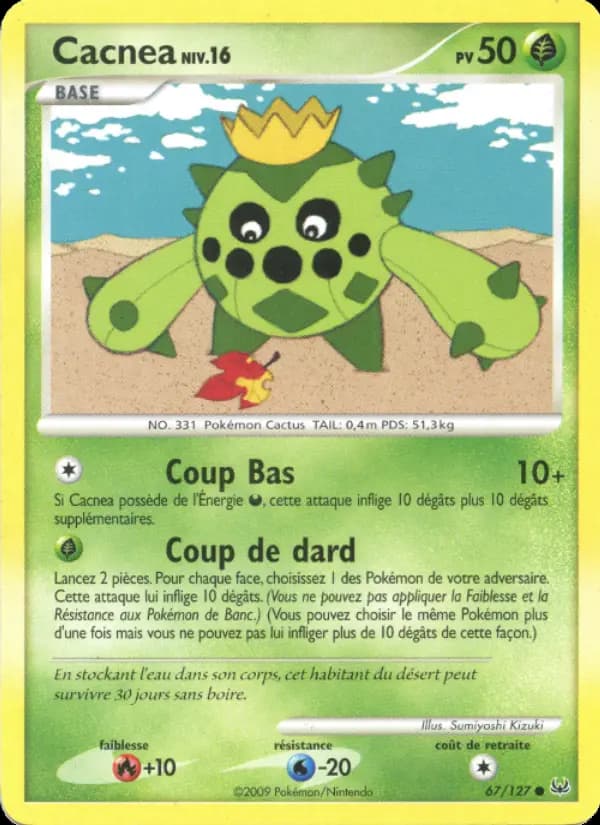 Cacnea
