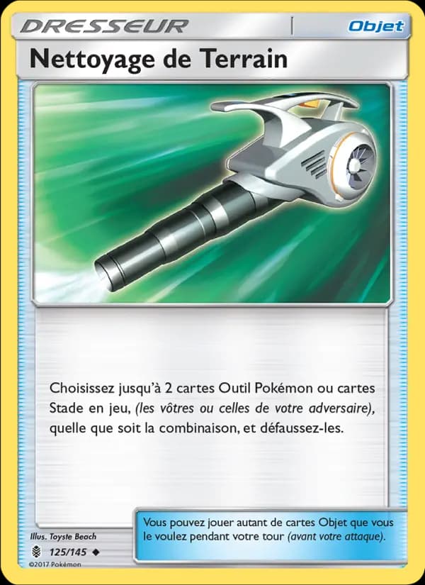 Nettoyage de Terrain