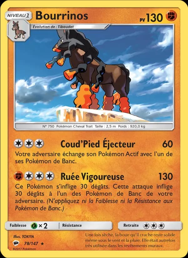 Bourrinos
