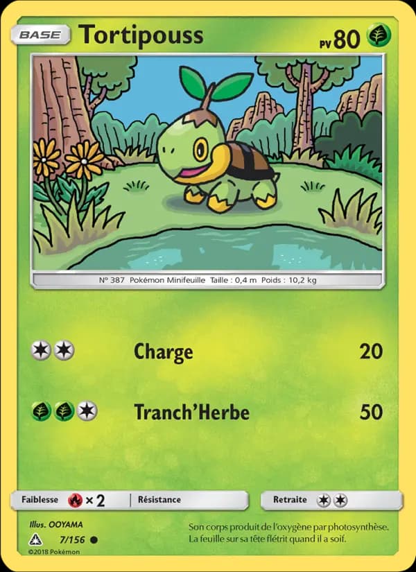 Tortipouss