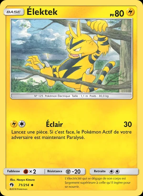 Élektek