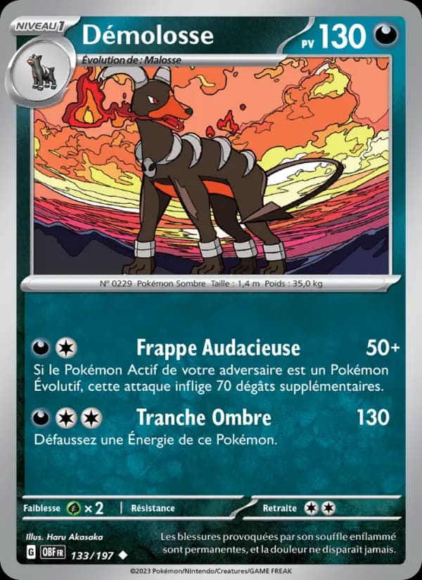 Démolosse