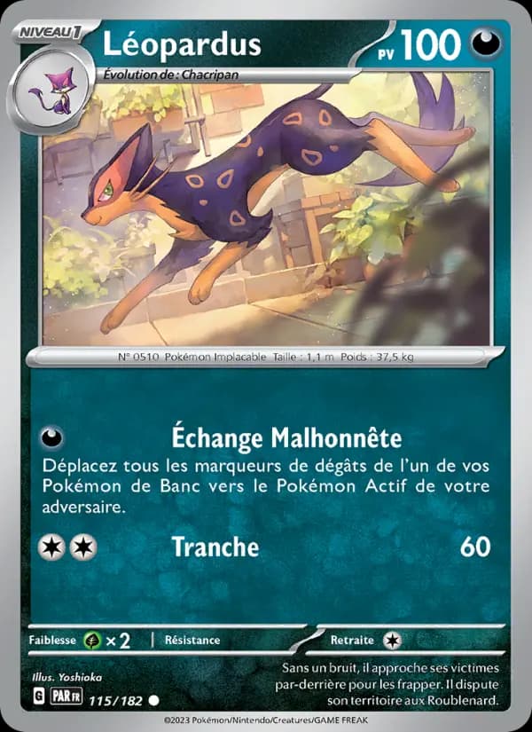 Léopardus