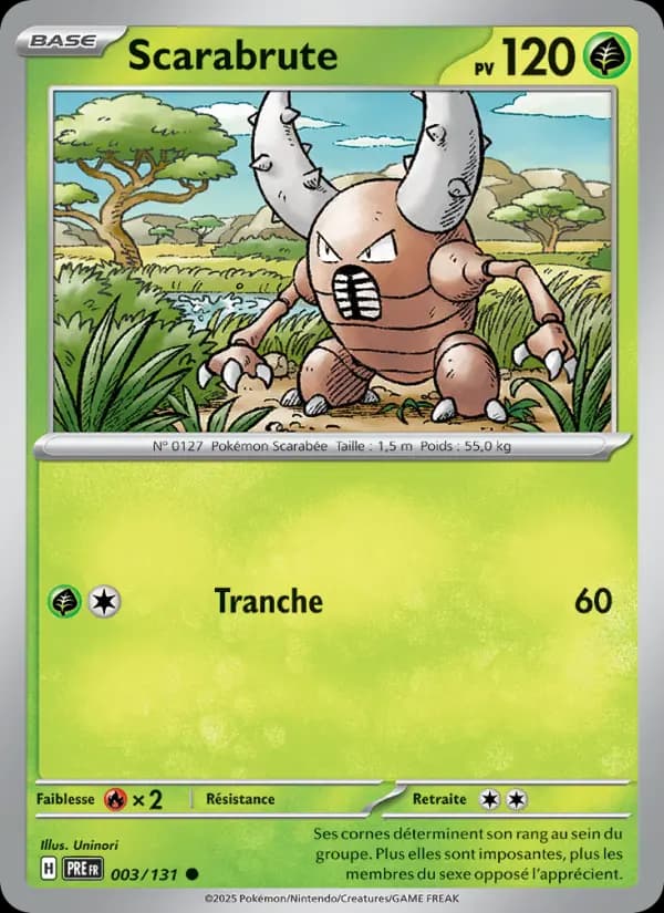 Scarabrute