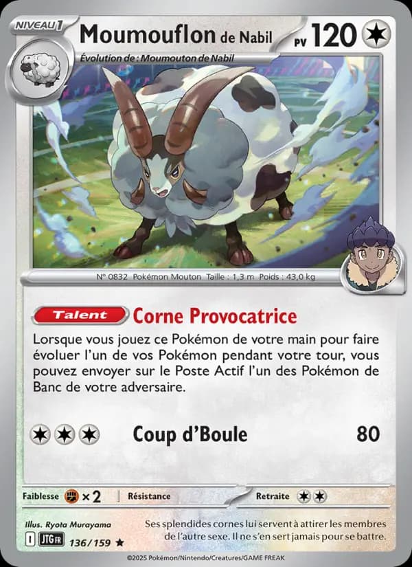 Moumouflon de Nabil