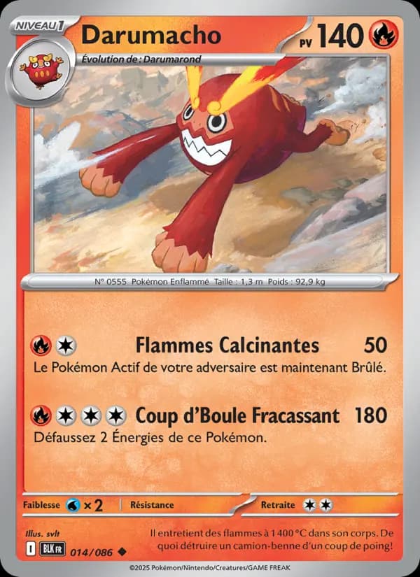 Darumacho