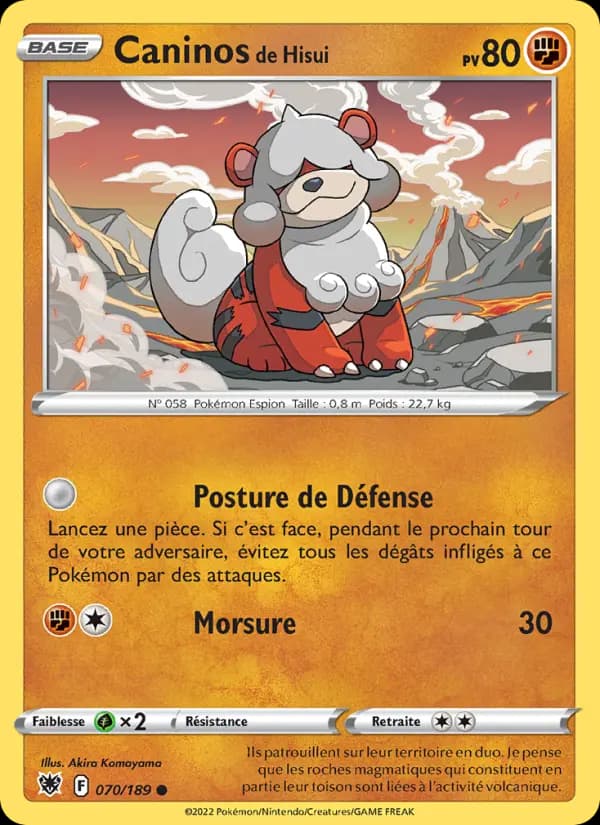Caninos de Hisui