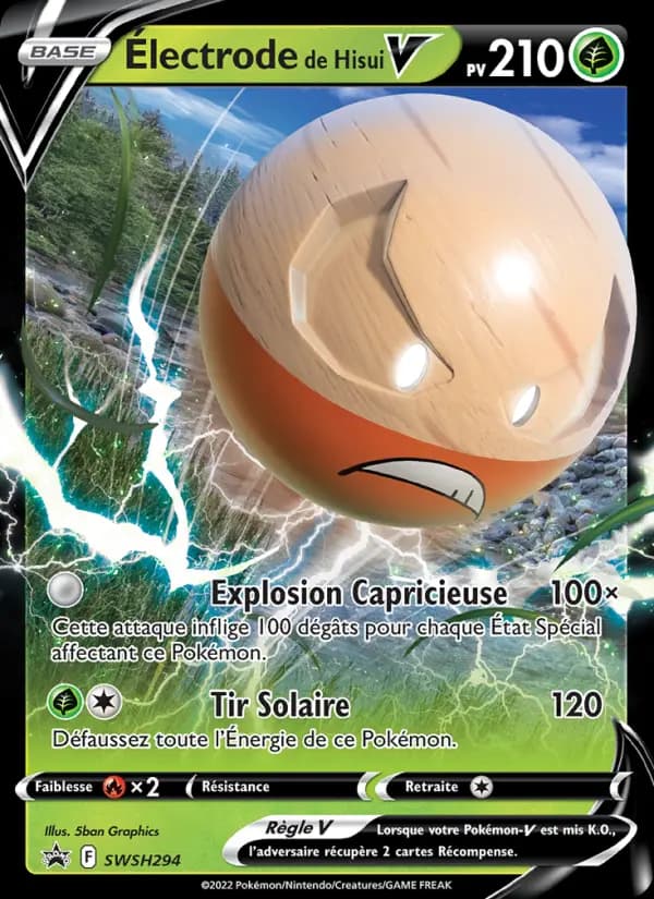 Électrode de Hisui V