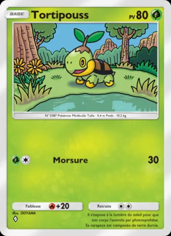 Tortipouss