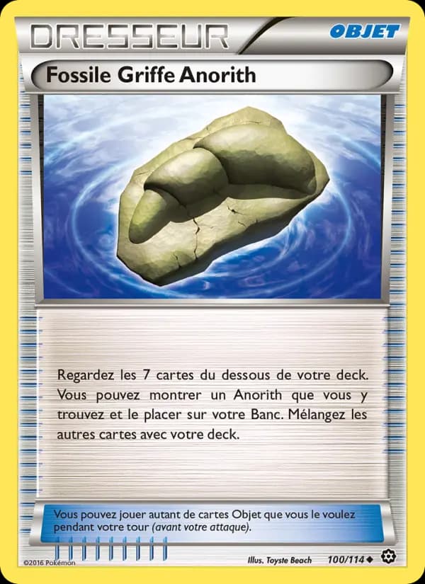 Fossile Griffe Anorith