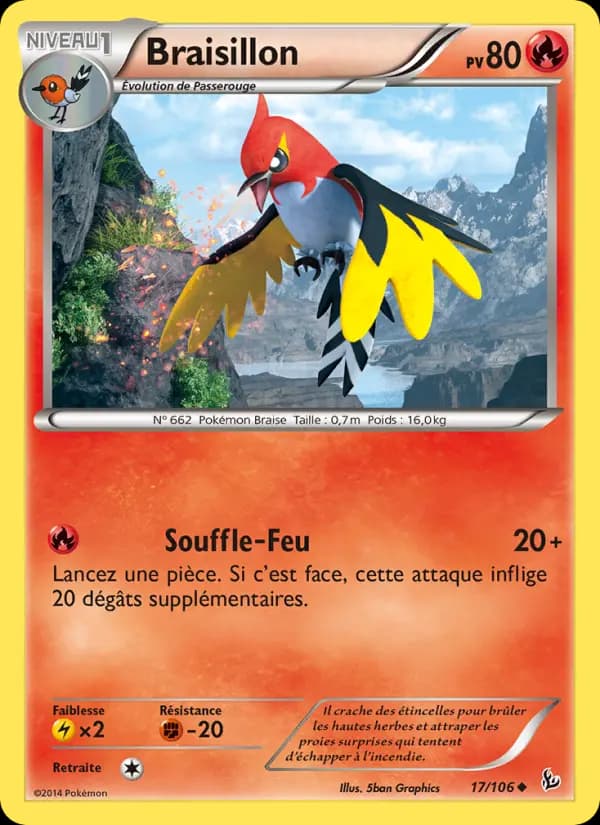 Braisillon