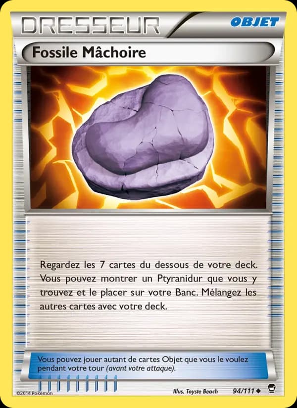 Fossile Mâchoire