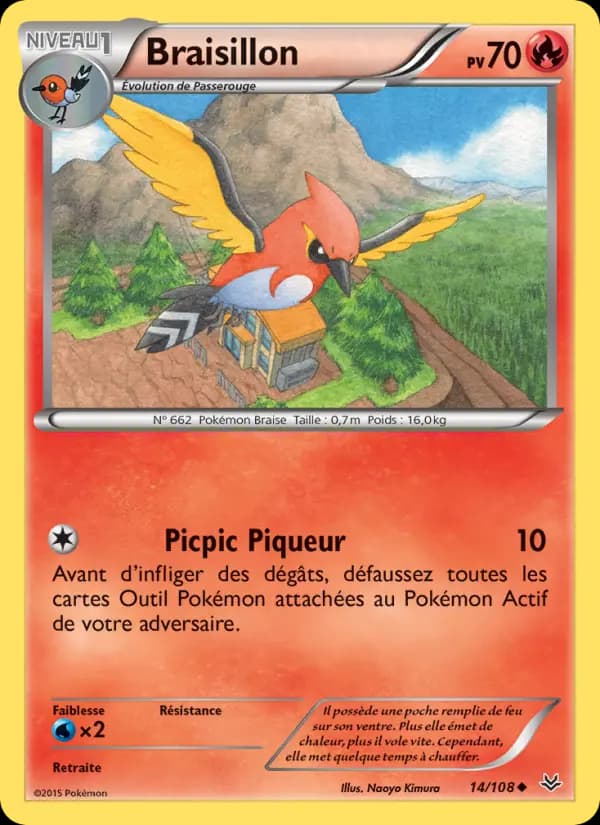 Braisillon