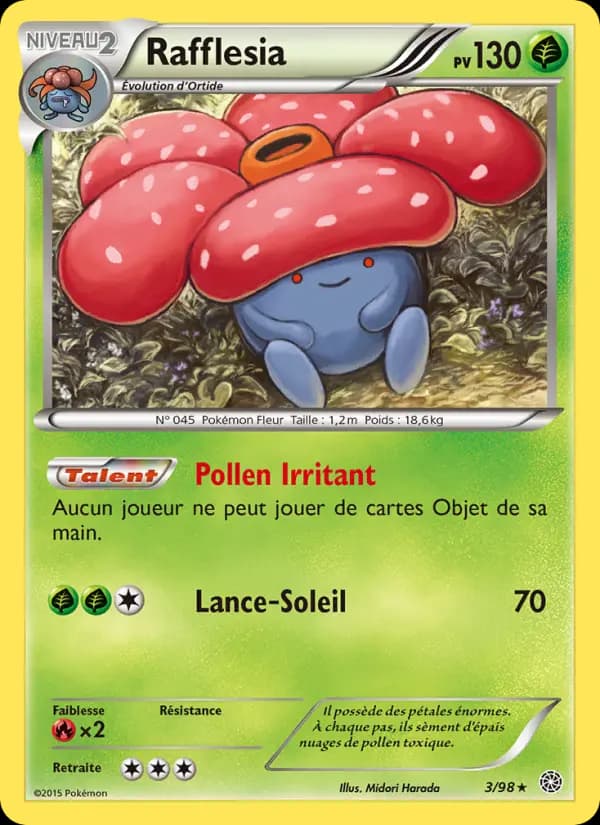 Rafflesia