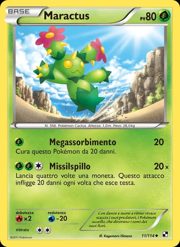 Maractus