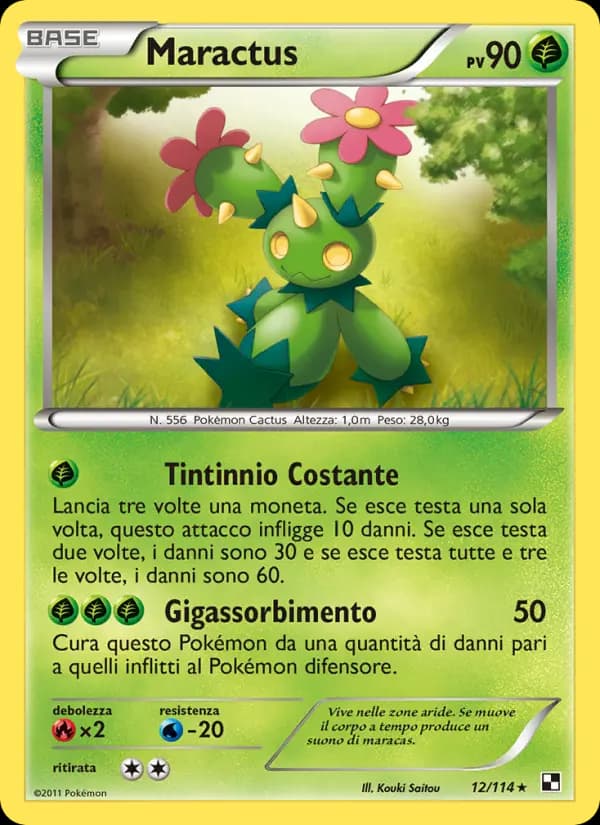 Maractus