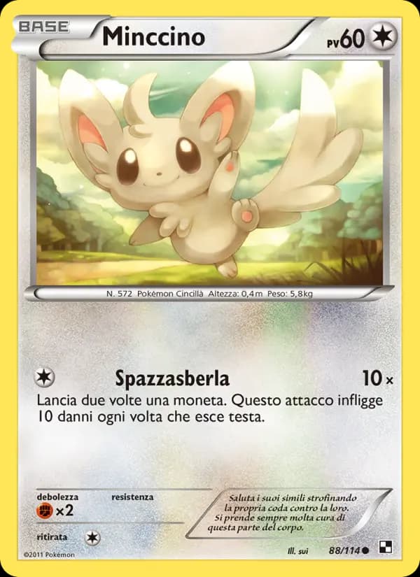 Minccino
