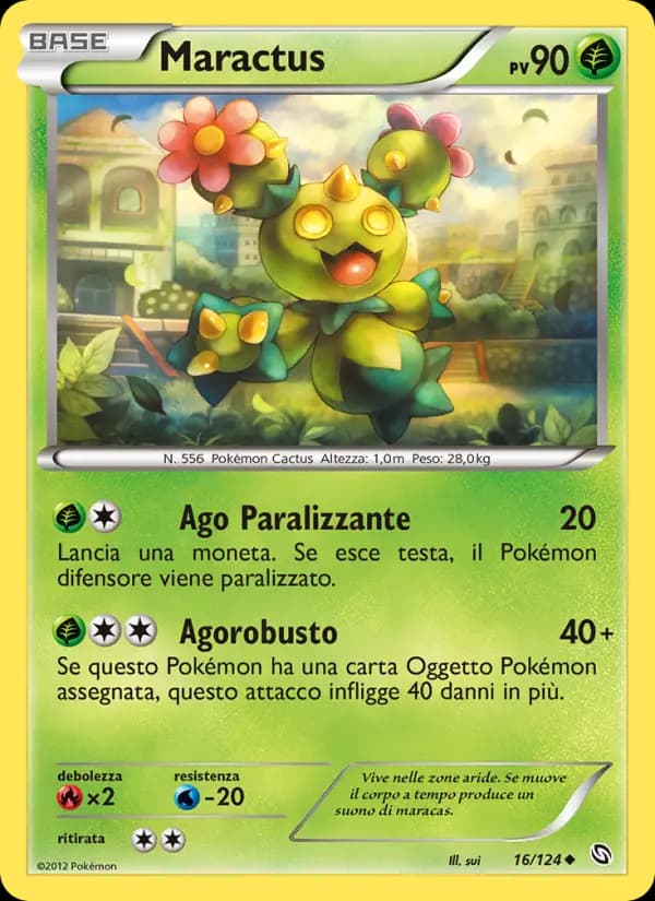Maractus