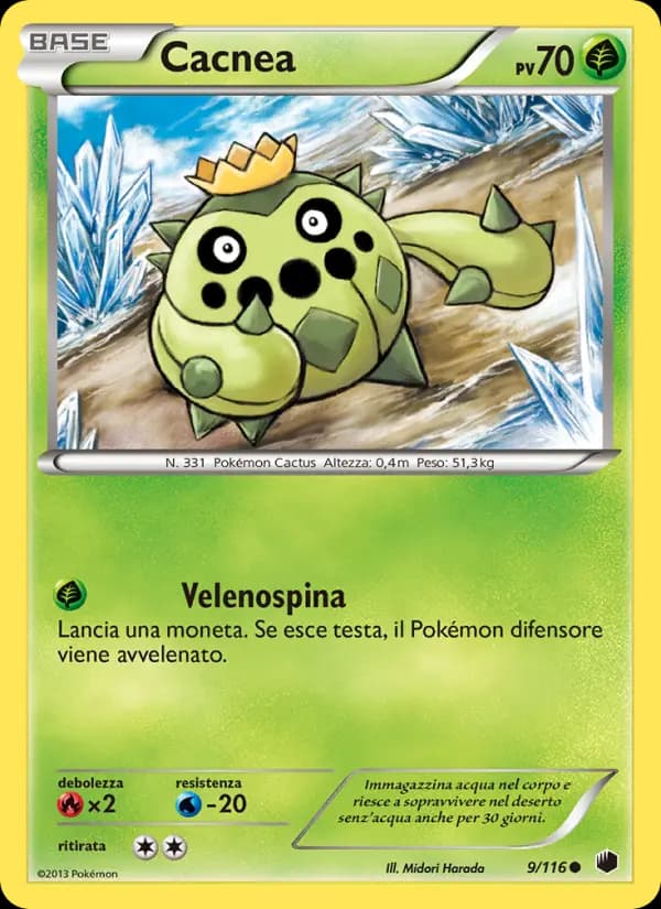 Cacnea