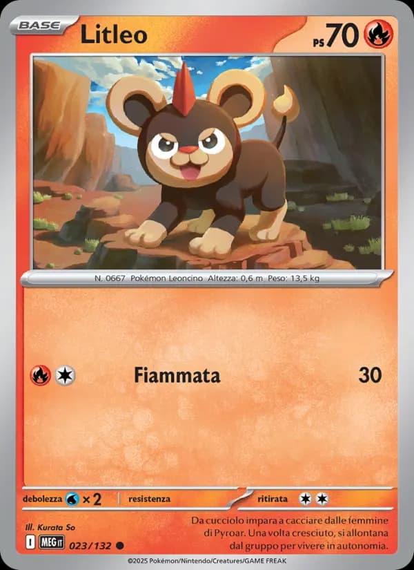 Litleo