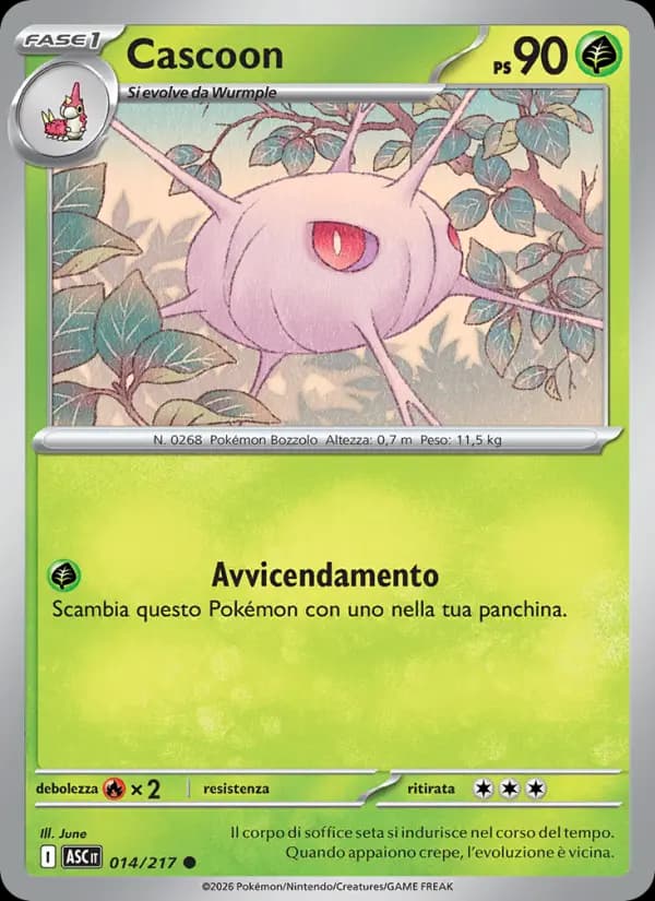Cascoon