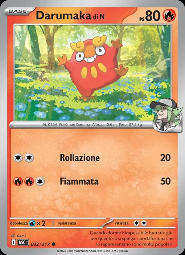 Darumaka di N