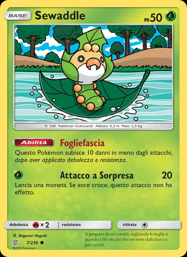 Sewaddle