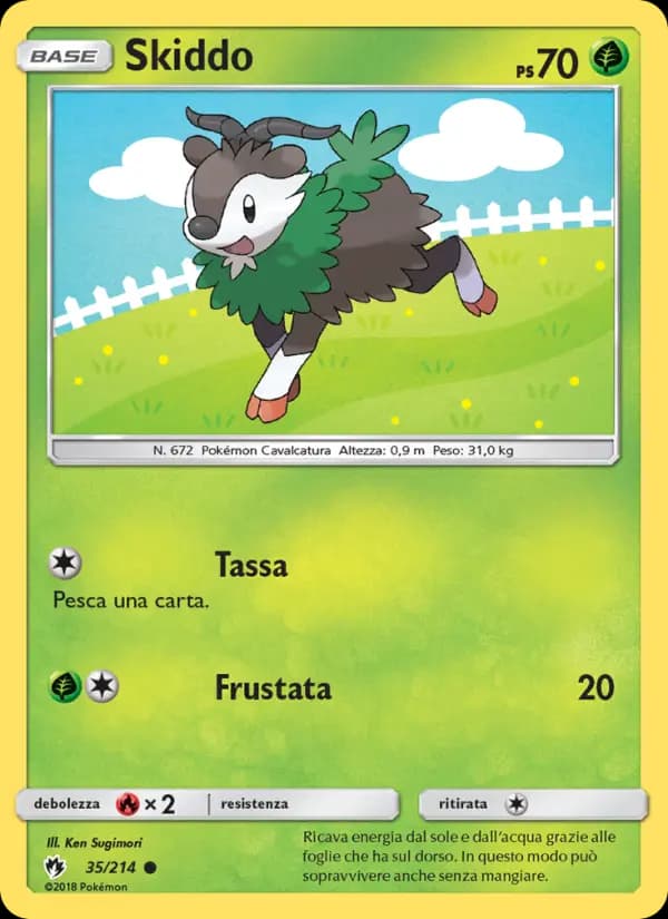 Skiddo