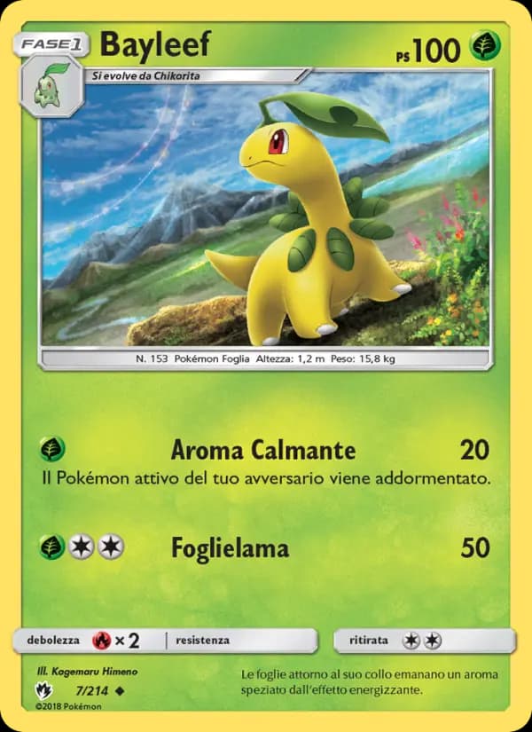 Bayleef