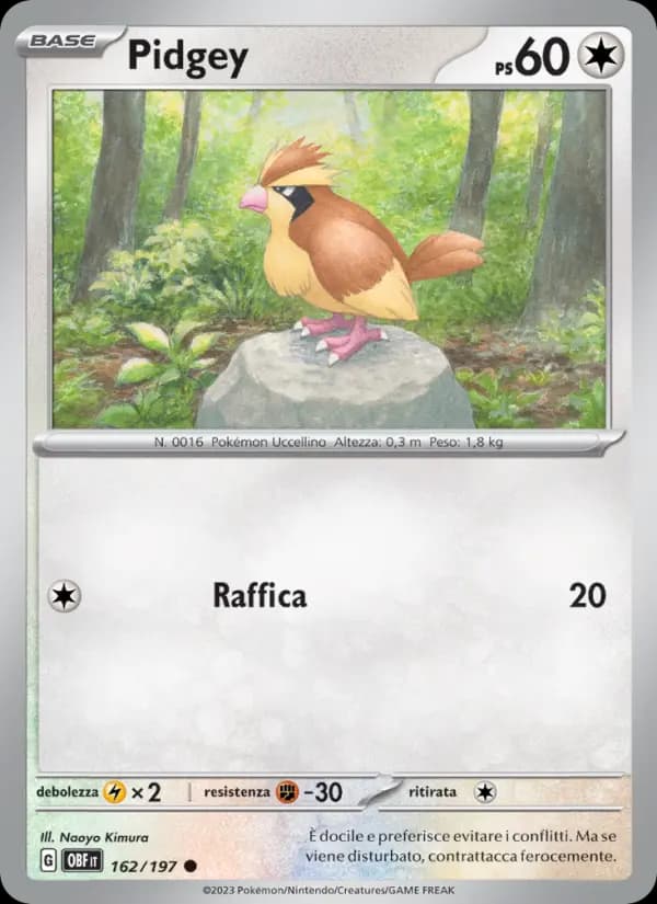 Pidgey