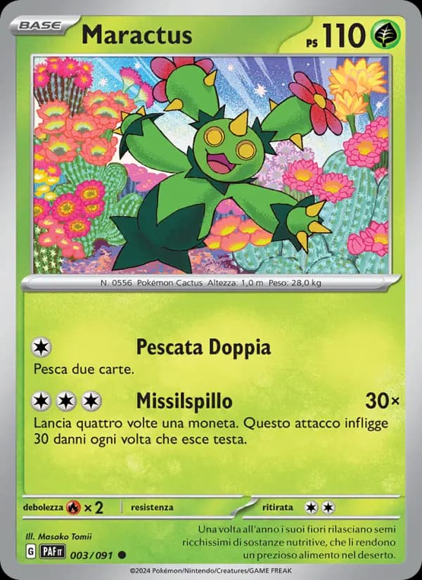 Maractus