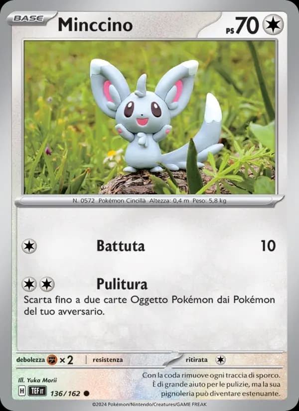 Minccino