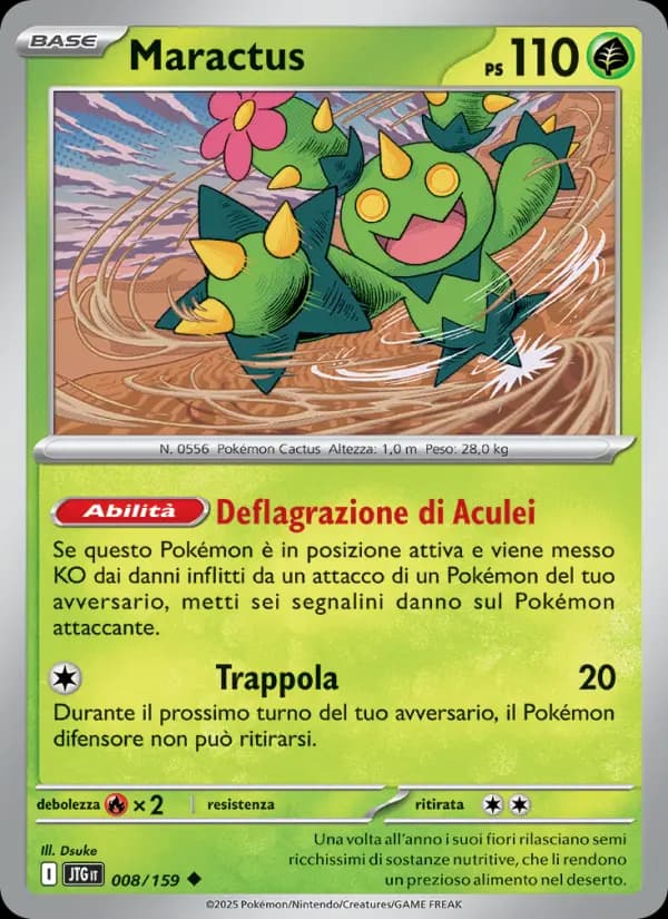 Maractus