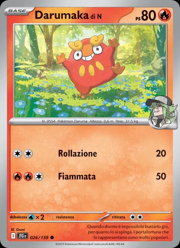 Darumaka di N