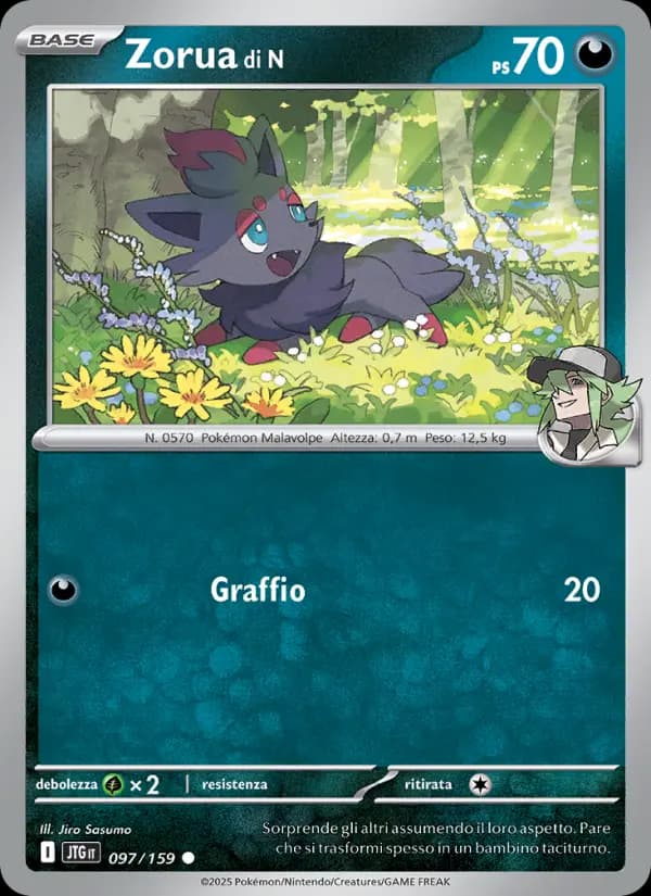 Zorua di N