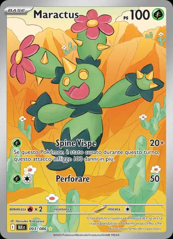 Maractus