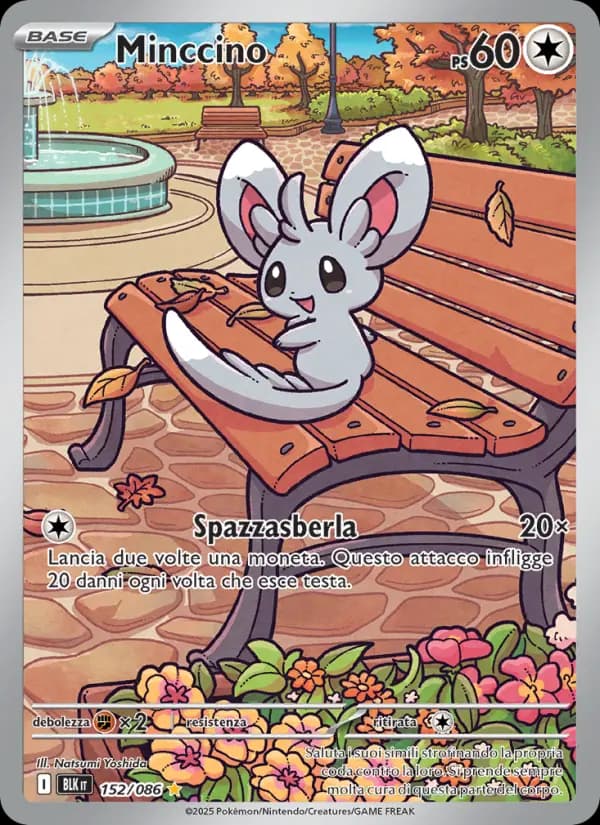 Minccino