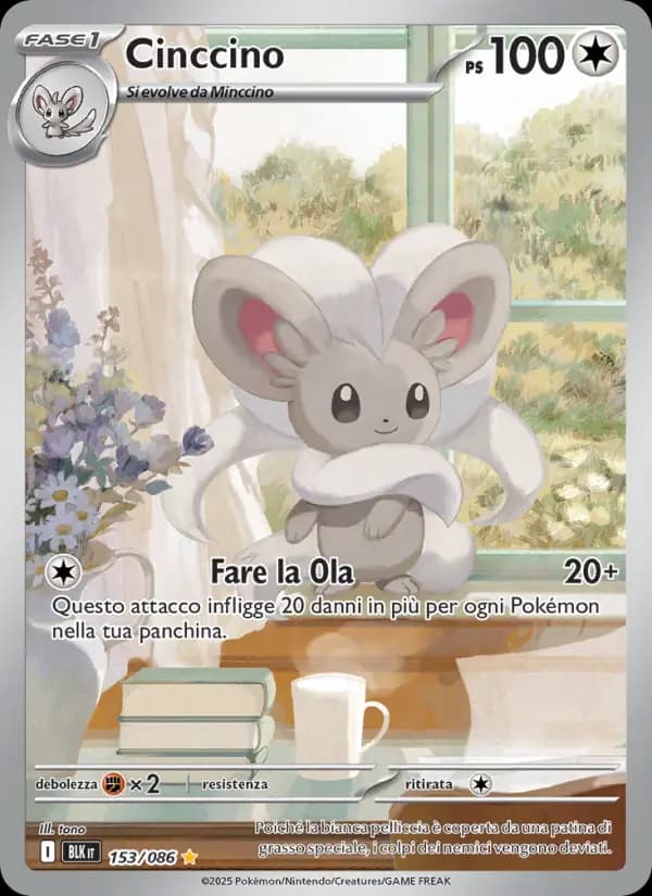 Cinccino