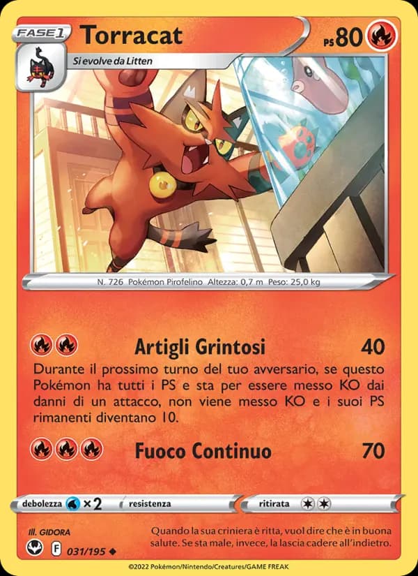 Torracat