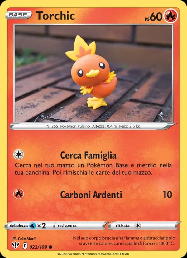 Torchic