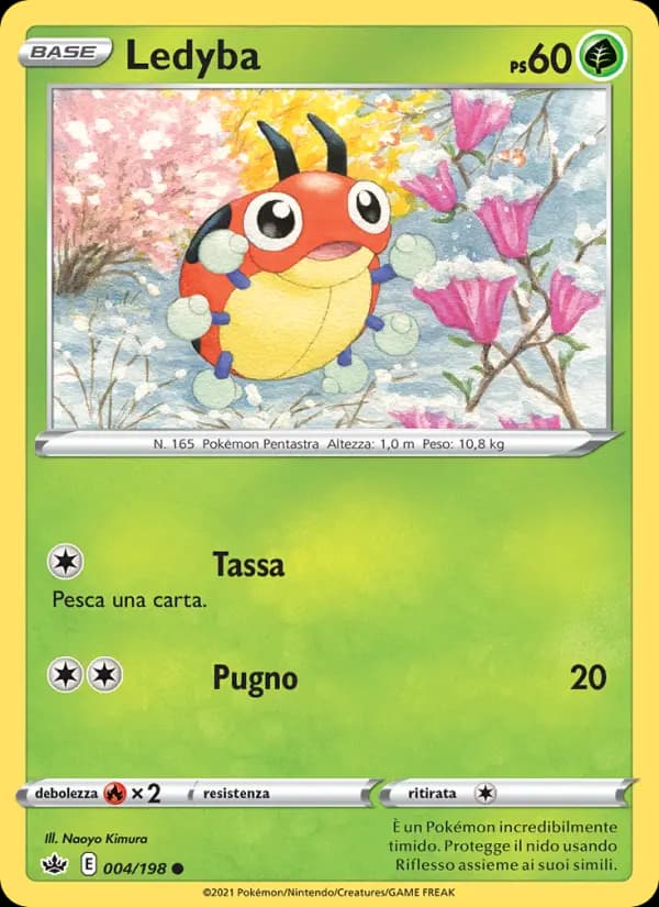 Ledyba
