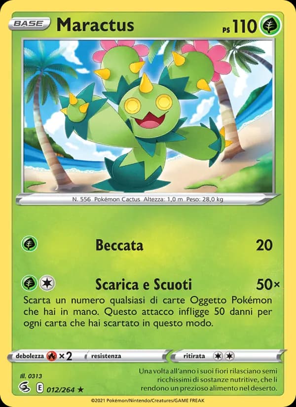 Maractus