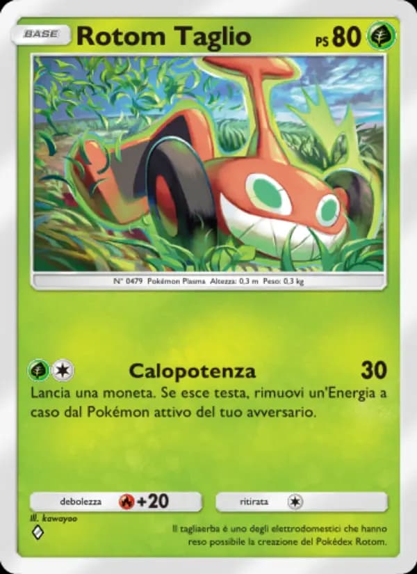 Rotom Taglio