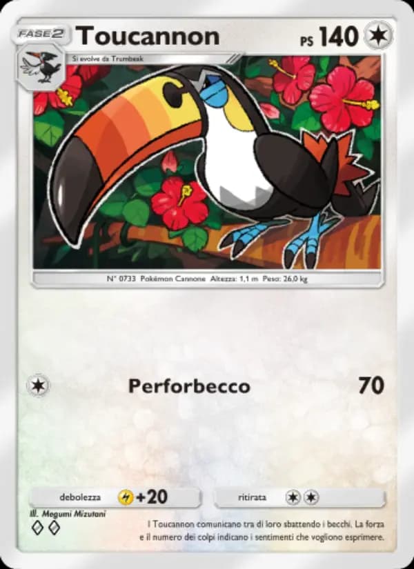 Toucannon