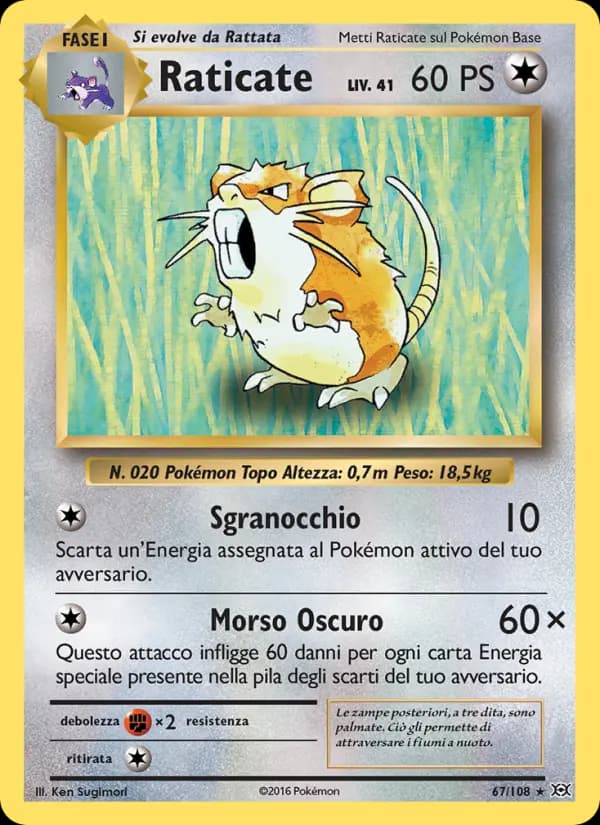 Raticate