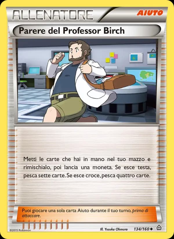Parere del Professor Birch