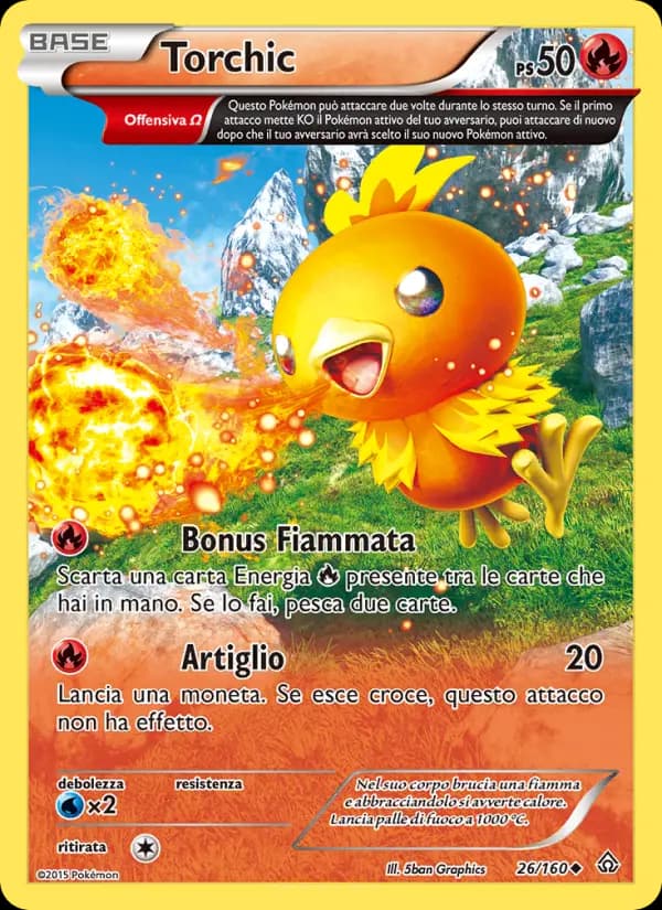 Torchic