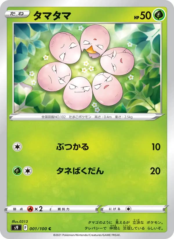 タマタマ