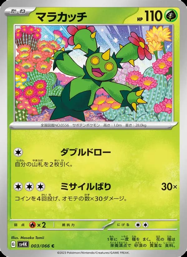 マラカッチ