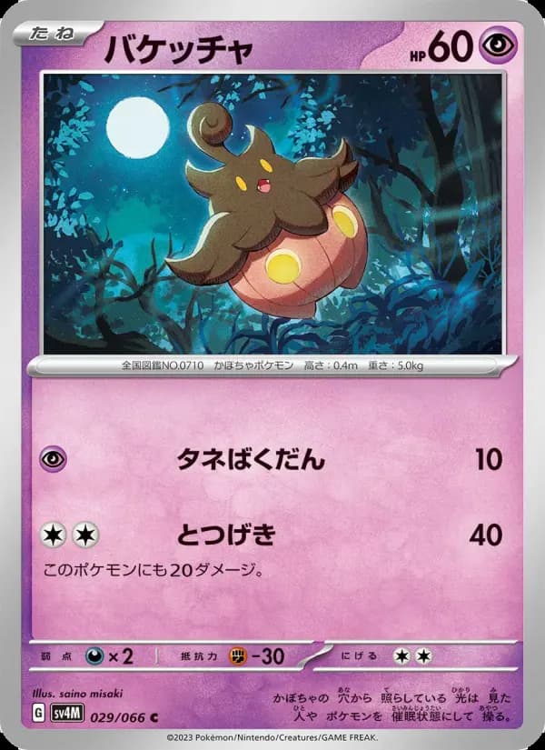 バケッチャ